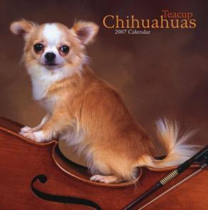 شی هواهوا (Chihuahua)