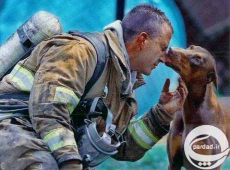 عکس دیدنی یک سگ که نجات دهنده اش را بوسید