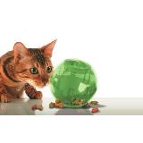 اسباب بازی فکری شکل توپ برای گربه ها